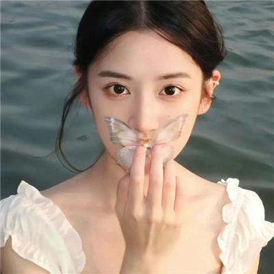 机械危情